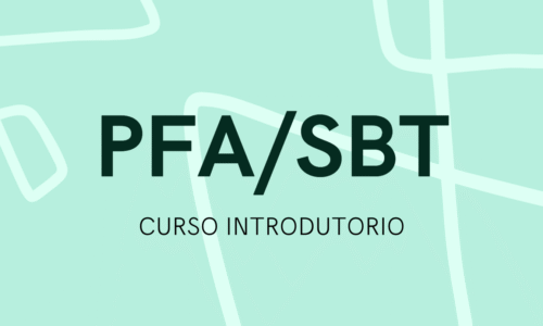 miniatura do curso